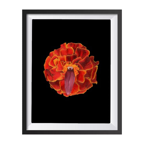 October Birth Flower Print