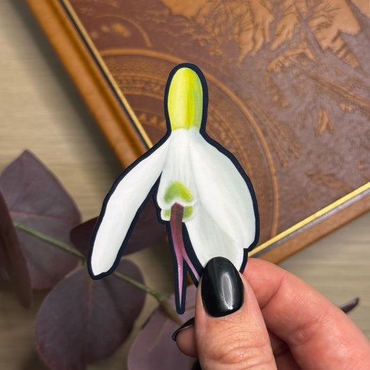 January Birth Flower Sticker