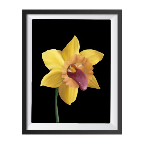 March Birth Flower Print