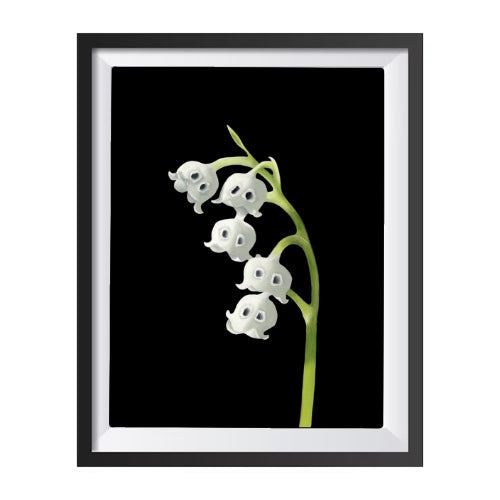 May Birth Flower Print