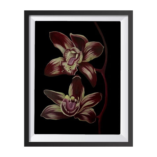 The Orchids Bite